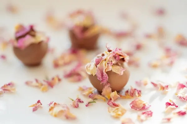 비이티9 카지노 안드로이드/iOS 앱